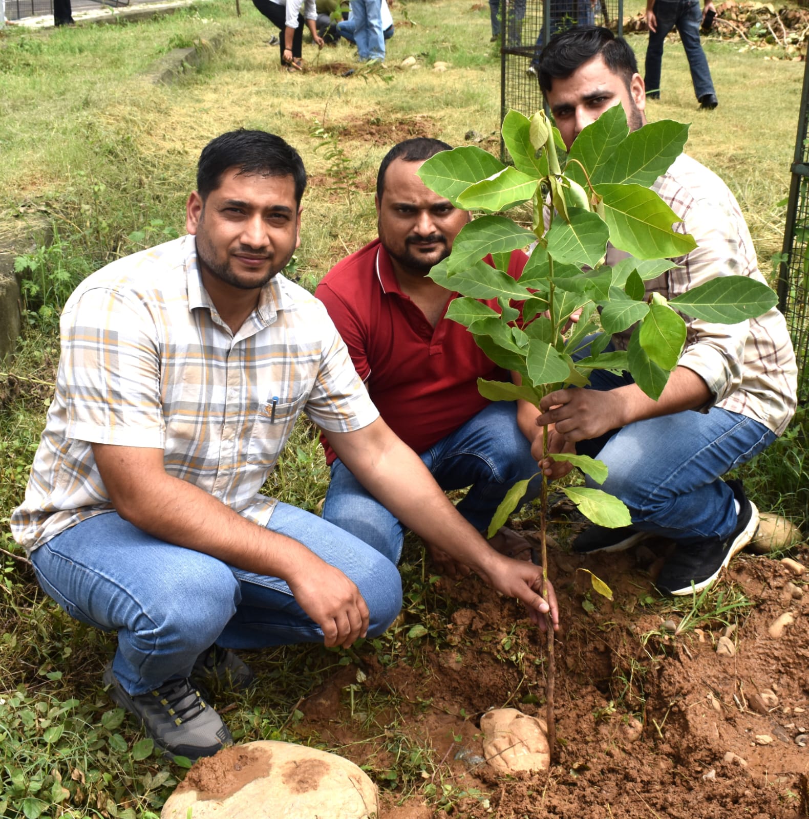 Plantation Drive